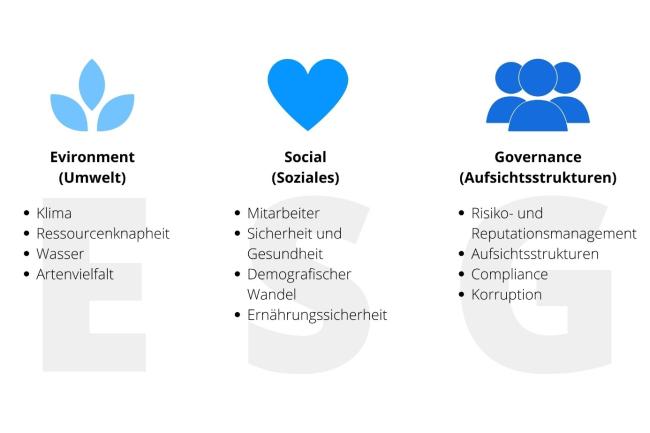 Was ist ESG?
