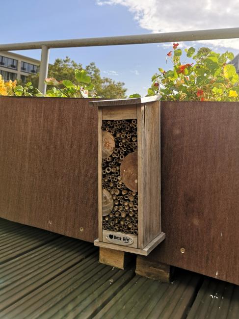 Insektenhotel